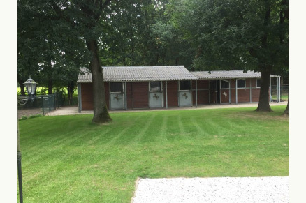 Vrijstaande boerderij aan het natuurgebied Maasduinen met zwembad en 5 stallen VMP050